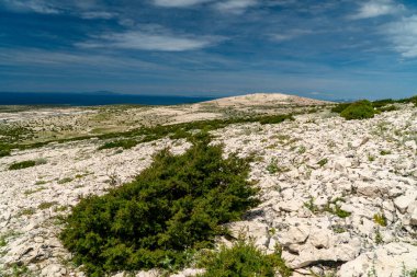 Aziz Vitus Dağı 'nın (Sveti Vid) tepesine yürüyüş yolu Pag adasının en yüksek zirvesi..