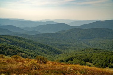 Tarnica, Halicz ve Rozsypaniec bölgesinde Bieszczady Dağları 'nda bir dağ sırası.