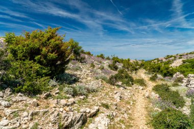 Aziz Vitus Dağı 'nın (Sveti Vid) tepesine yürüyüş yolu Pag adasının en yüksek zirvesi..