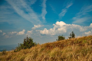 Tarnica, Halicz ve Rozsypaniec bölgesinde Bieszczady Dağları 'nda bir dağ sırası.