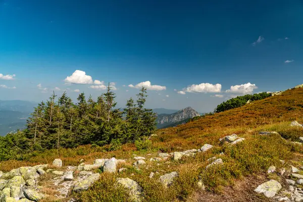 Dağların tepelerine bakan yürüyüş izleri..