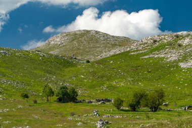 Dinarik Dağları biyolojik çeşitlilik açısından zengindir, engebeli güzellik bakımından ve doğa aşıkları için fantastik yürüyüş yolları..