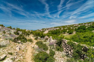 Aziz Vitus Dağı 'nın (Sveti Vid) tepesine yürüyüş yolu Pag adasının en yüksek zirvesi..