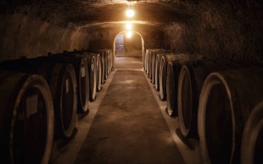 Ukrayna 'da büyük ahşap şarap fıçıları olan eski şarap mahzeni.