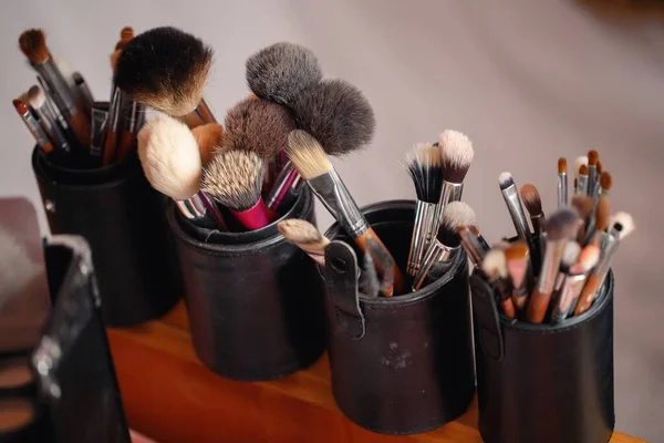 Set of different brushes for make-up artist and make-up artist. Tools for applying cosmetics on the face. Soft brushes for work in the field of beauty