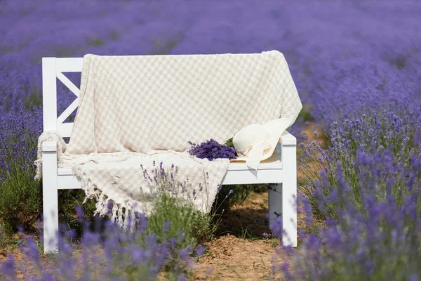 夏日里 在一片艳丽的薰衣草地里 站着一家白色的木铺 上面铺着一张格子桌布 顶着一顶夏帽 — 图库照片