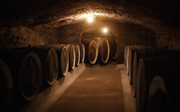 old wine cellar with large wooden wine barrels in Ukraine