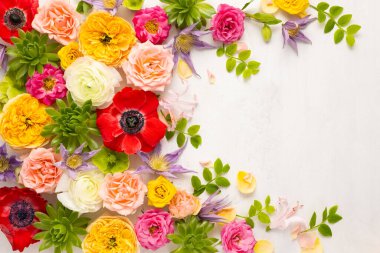 Güzel çiçeklerin, sulu suların ve açık arkaplanda yaprakların bileşimi. Çiçek çerçevesi. Üst görünüm, boşluğu kopyala.