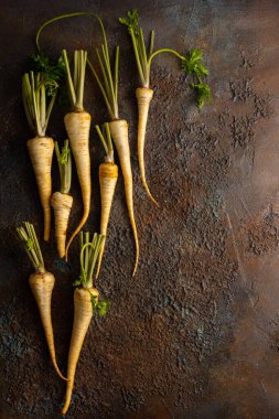 Organic parsnips on textured background. Autumn harvest of root vegetables. Concept healthy food. clipart