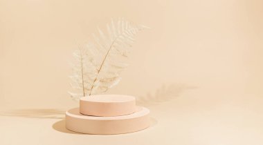 Ürün sunumu veya sergileri için geometrik podyum veya kaideye sahip soyut arkaplan. Boş silindir podyumlar ve pastel arka planda kurumuş bitki.