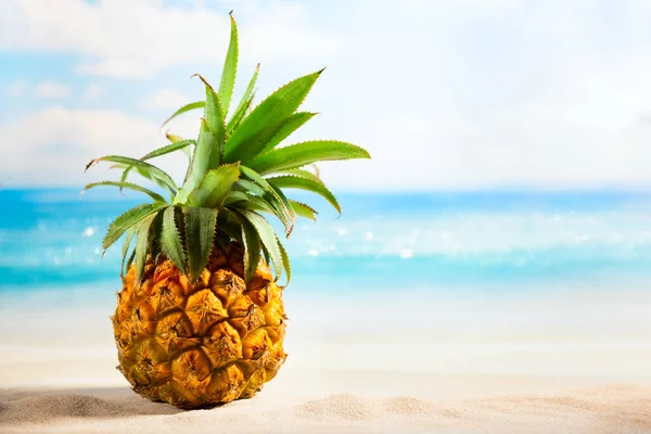 Pineapple on the beach sand against of sea. Summer party idea.