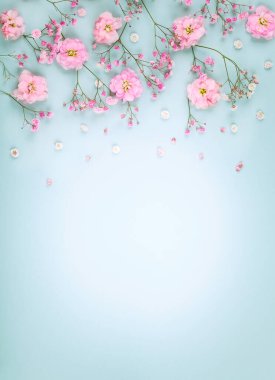 Açık pastel renkli taze pembe çiçekler bahar çiçek kompozisyon yapılmış. Festival çiçek kavramı. Kopya alanı düz yatıyordu, en iyi manzaralı.