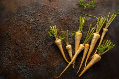 Dokulu arka planda organik yaban havucu. Sonbahar kök sebze hasadı. Sağlıklı gıda kavramı.