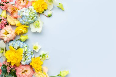 Spring Flowers composition on pastel blue background. Floral concept for Easter, Woman's day or Valentine's day. Top view, copy space.
