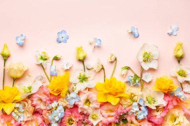 Spring Flowers composition on pastel pink background. Floral concept for Easter, Woman's day or Valentine's day. Top view, copy space.