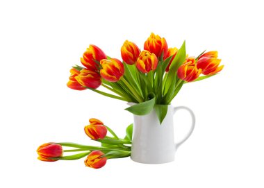 Spring bouquet of red yellow tulip in white jug isolated on white background. Flower bouquet.