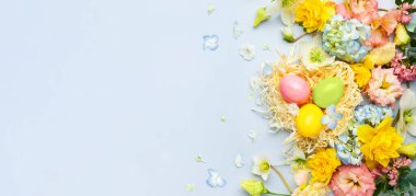Easter composition with Spring Flowers and Easter eggs in nest on pastel blue background. Top view, copy space. Banner