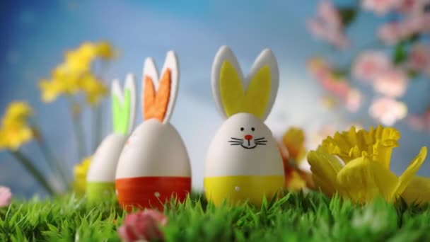Conejo Pascua Con Huevos Pascua Flores Primavera Hierba Verde Sobre Video de stock libre de derechos