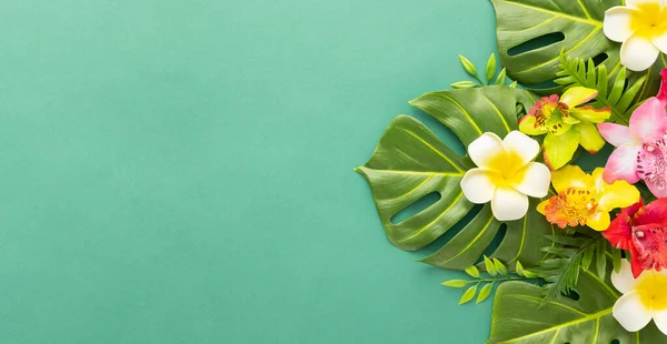 Sommer Hintergrund Mit Tropischen Orchideenblüten Und Grünen Tropischen Palmenblättern Auf — Stockfoto