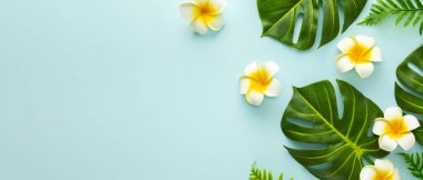 Summer background with tropical frangipani flowers and green tropical palm leaves on light background. Flat lay, top view.