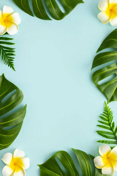 Літній Фон Тропічними Квітами Франгіпані Зеленими Тропічними Листями Пальми Світлому — стокове фото