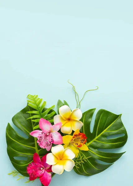 Sommer Hintergrund Mit Tropischen Orchideenblüten Und Grünen Tropischen Palmenblättern Auf — Stockfoto