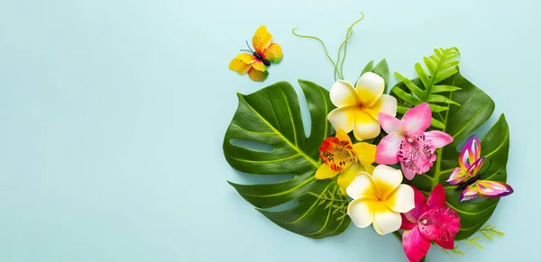 Sommer Hintergrund Mit Tropischen Orchideenblüten Schmetterlingen Und Grünen Tropischen Palmenblättern — Stockfoto