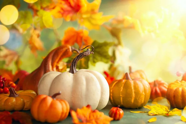 Feestelijke Herfstdecoratie Van Pompoenen Bessen Bladeren Concept Van Thanksgiving Dag — Stockfoto