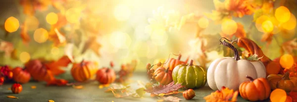 节日的秋天装饰从南瓜 浆果和树叶 感恩节或万圣节的概念 有复制空间 — 图库照片