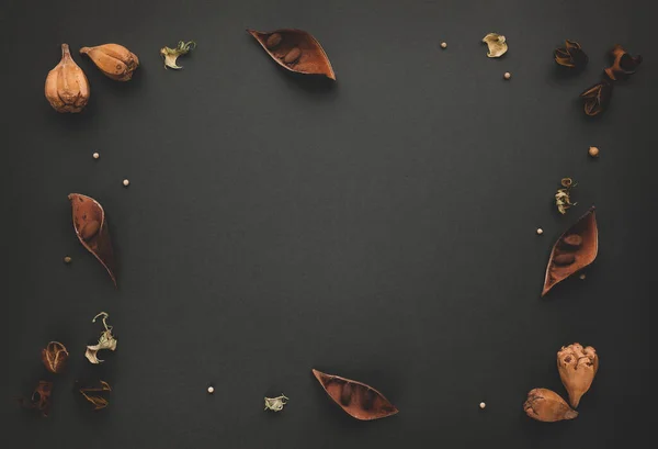 Podzimní Zimní Kompozice Sušenými Listy Kůrou Stromů Bobulemi Tmavém Pozadí — Stock fotografie