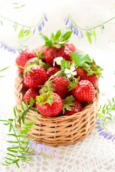 Fresh Strawberries Basket — Stock Photo, Image