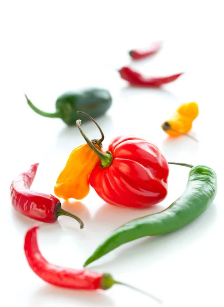 Mix Fresh Colorful Hot Chili Peppers — Stock Photo, Image