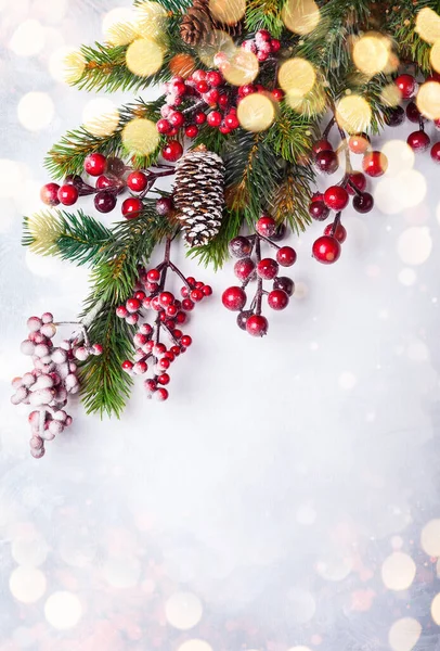 Christmas Decoration Background Fir Branches Holly Berries Light Background — Stock Photo, Image