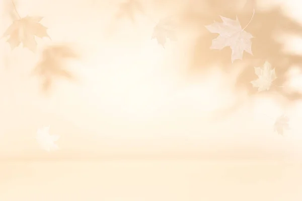 Осенний Фон Тенью Листьев Кленового Дерева Стене Абстрактная Осенняя Сцена — стоковое фото