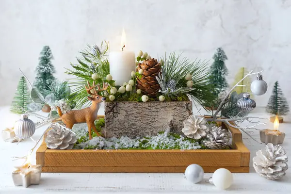 소나무 크리스마스 전나무 상자에 열매의 크리스마스 아늑한 로열티 프리 스톡 사진