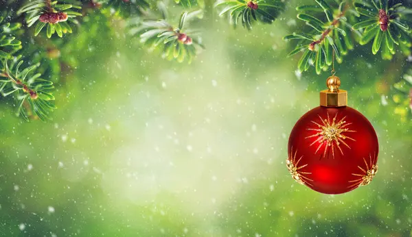 金星が付いている美しい緑の火の木の枝そしてクリスマスの赤い球 クリスマスの装飾と新年の装飾 クリスマスと冬のコンセプト ストック写真