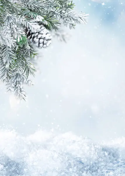 스노우 숲에서 Snovy 지점과 아름다운 크리스마스와 인사말 공간이있는 스톡 사진
