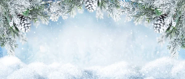 雪の森のシュノービーファーツリーブランチとコニスで美しい冬の風景 クリスマスと新年の挨拶カード コピースペース付きの冬のバナー ストック画像