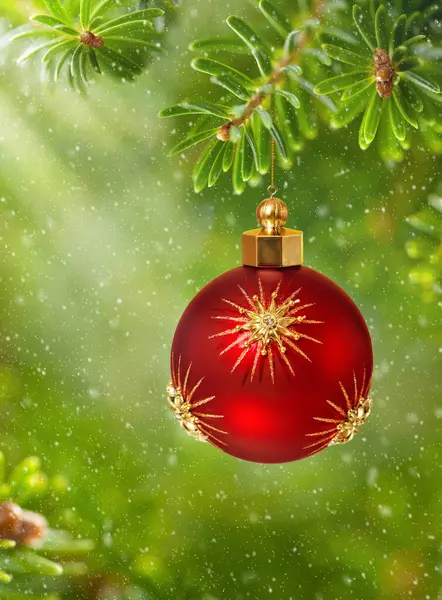 Güzel Yeşil Köknar Ağacı Dalları Altın Yıldızlı Noel Kırmızı Topu Telifsiz Stok Imajlar