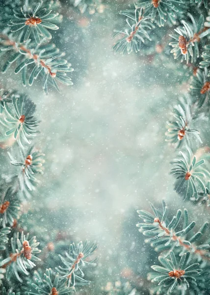 Krásné Větve Jedle Zasněženém Lese Vánoční Zimní Koncept Měkké Zaměření Stock Snímky