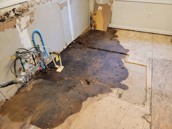 Leak Kitchen Floor Found Construction Imágenes De Stock Sin Royalties Gratis