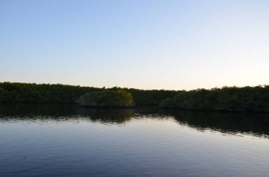 Gün batımında göl, göl ya da nehir suyu, alacakaranlıkta ağaçlarla.