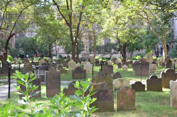 Friedhof Oder Friedhof Städtischer Umgebung Oder Stadt Mit Grünpflanzen — Stockfoto