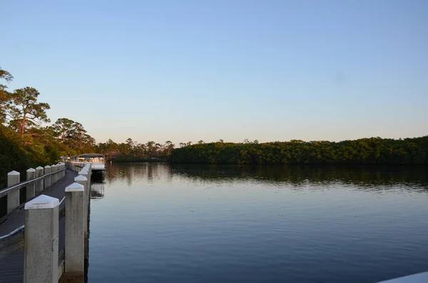 Teich Oder See Oder Flusswasser Bei Sonnenuntergang Mit Bäumen Der — Stockfoto