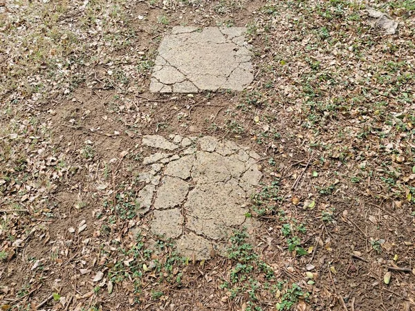 Abgebrochene Trittsteine Weg Gras Oder Rasen — Stockfoto