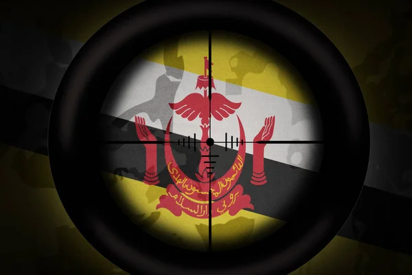 狙击手瞄准镜瞄准卡其布质感背景上的黑龙江国旗 军事概念 3D说明 — 图库照片
