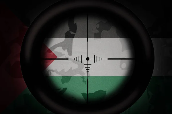 Keskin Nişancı Haki Desenli Arka Planda Ulusal Filistin Bayrağına Nişan — Stok fotoğraf