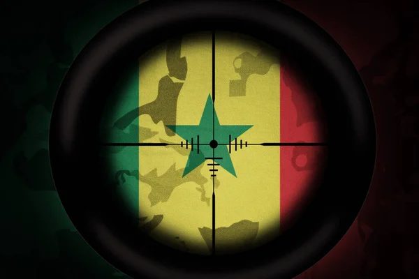 Keskin Nişancı Haki Desenli Arka Planda Senegal Bayrağına Nişan Almıştı — Stok fotoğraf