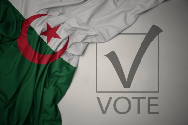 Gri bir arkaplanda yazılı oyla Cezayir 'in renkli ulusal bayrağını sallıyordu. Seçim konsepti. 3B illüstrasyon