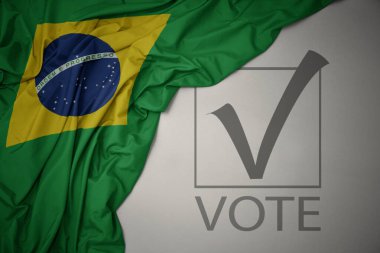 Brezilya 'nın renkli bayrağını gri bir arkaplanda yazılı oyla sallıyordu. Seçim konsepti. 3B illüstrasyon